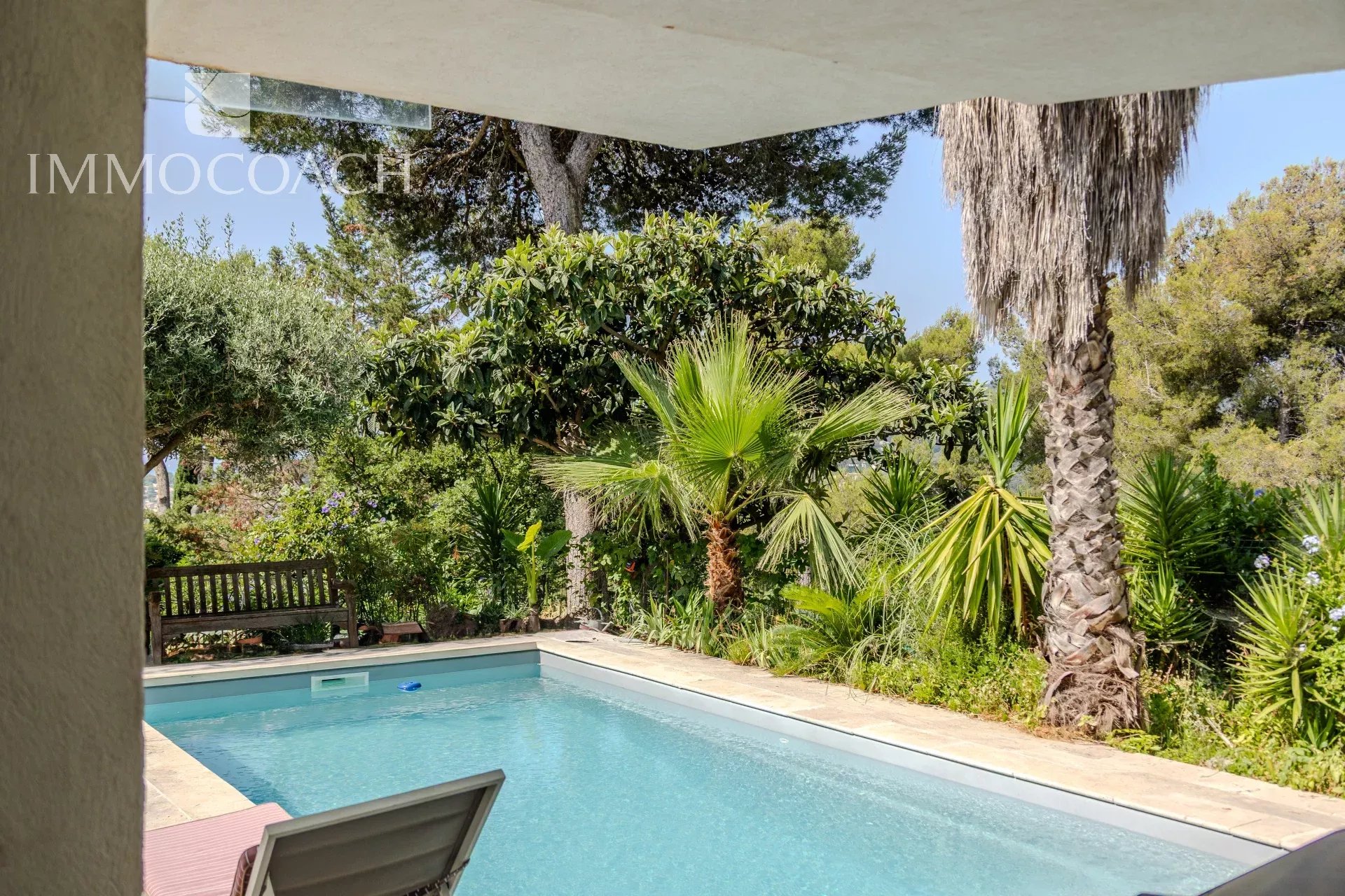 House with swimming pool in Carqueiranne View of a swimming pool surrounded by palm trees and greenery in a house in Carqueiranne.