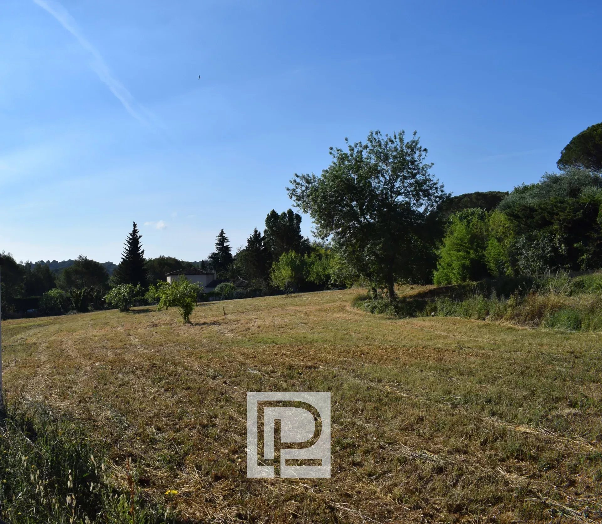 6a66170a2e06b4db992702eec7a8ebad_378e5ab913_1920-original