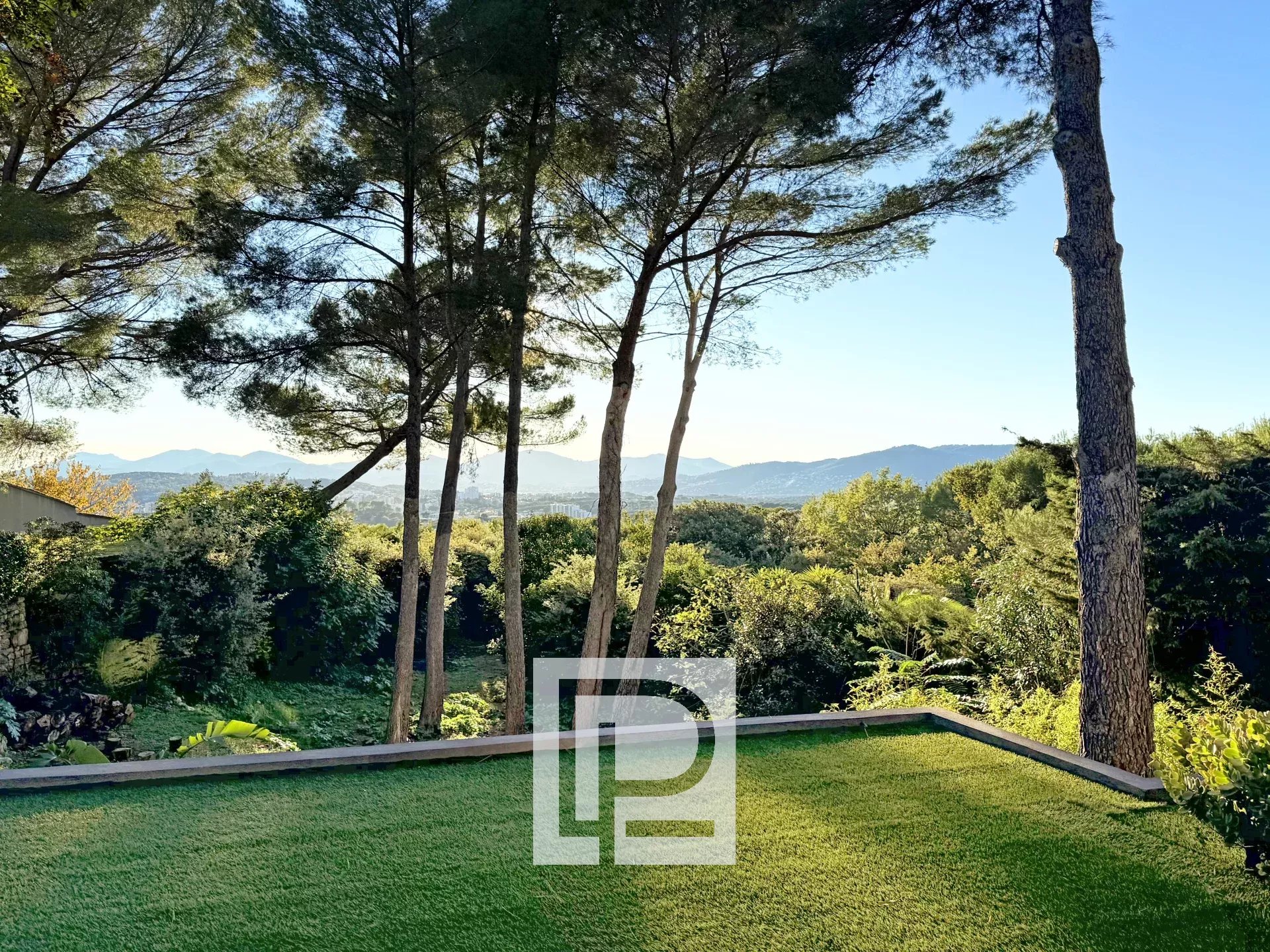 Lawned backyard with tall pine trees and a distant mountain range under a clear blue sky.