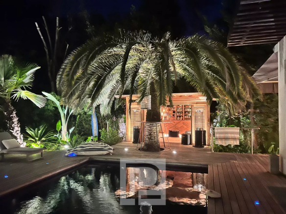 Artist's house with swimming pool and illuminated palm tree in Cannes.