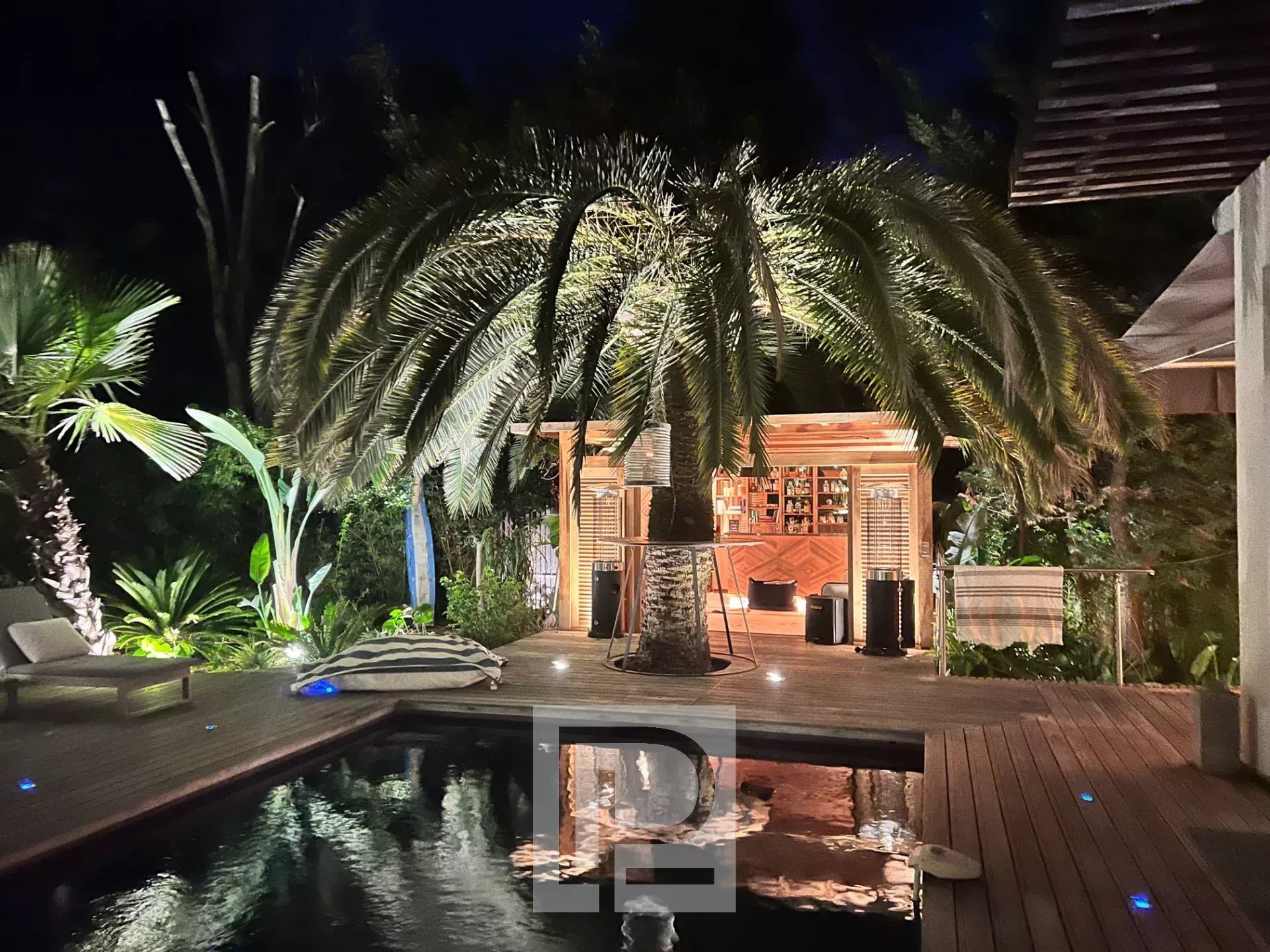 Artist's house with swimming pool and illuminated palm tree in Cannes.