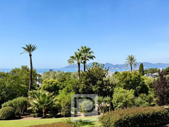 Unobstructed view of the sea and palm trees from a green park in Cannes.