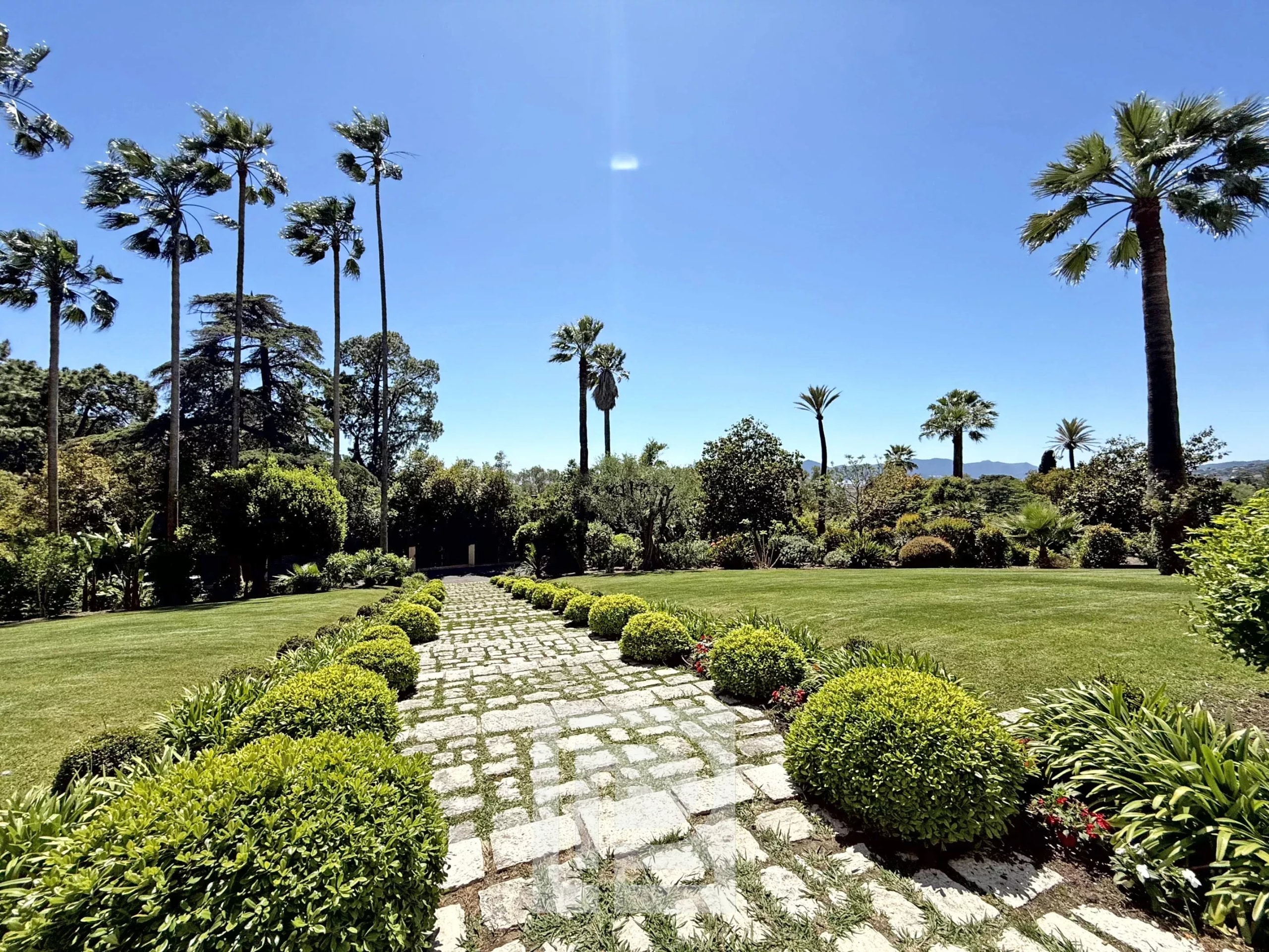 Green garden with stone walkway and palm trees, Isola Bella area in Cannes.