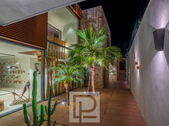 Villa contemporaine avec palmier et cactus, éclairage nocturne, architecture moderne à Mougins.