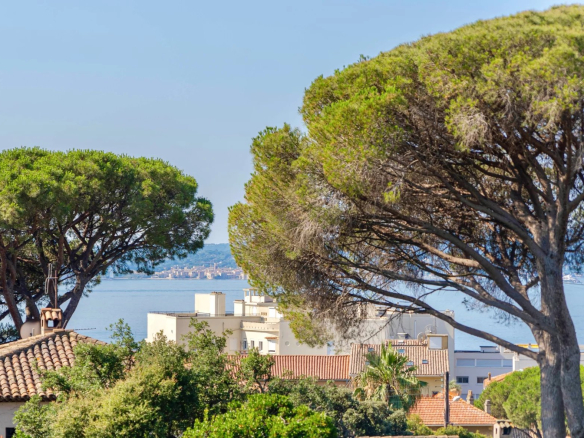 Vue sur la mer et les arbres depuis une villa à Sainte-Maxime