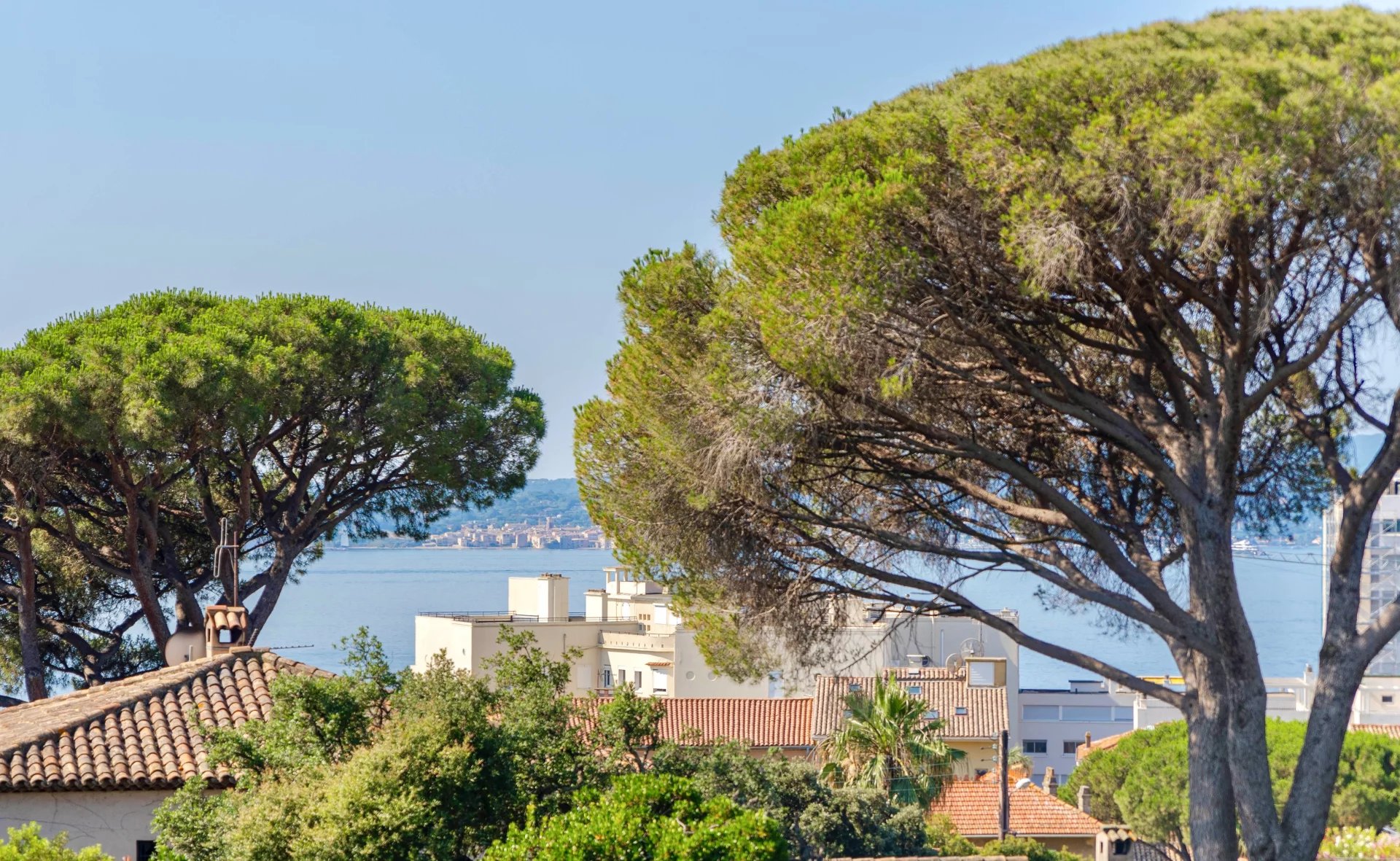 Vue mer depuis une villa à Sainte-Maxime Vue sur la mer et les arbres depuis une villa à Sainte-Maxime