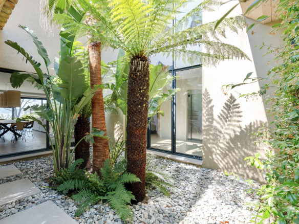 Intérieur d'une villa neuve avec des plantes tropicales et un espace lumineux.