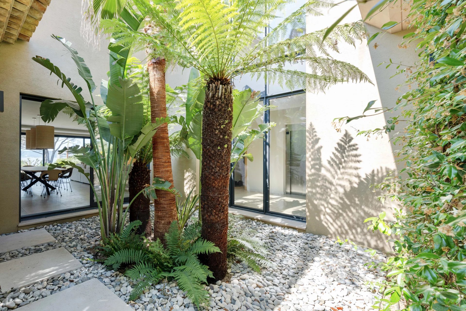 Villa neuve à Sainte-Maxime Intérieur d'une villa neuve avec des plantes tropicales et un espace lumineux.