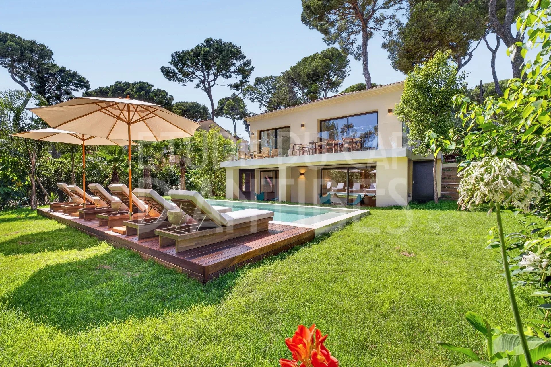 Villa moderne avec piscine et chaises longues dans un jardin arboré à Antibes.