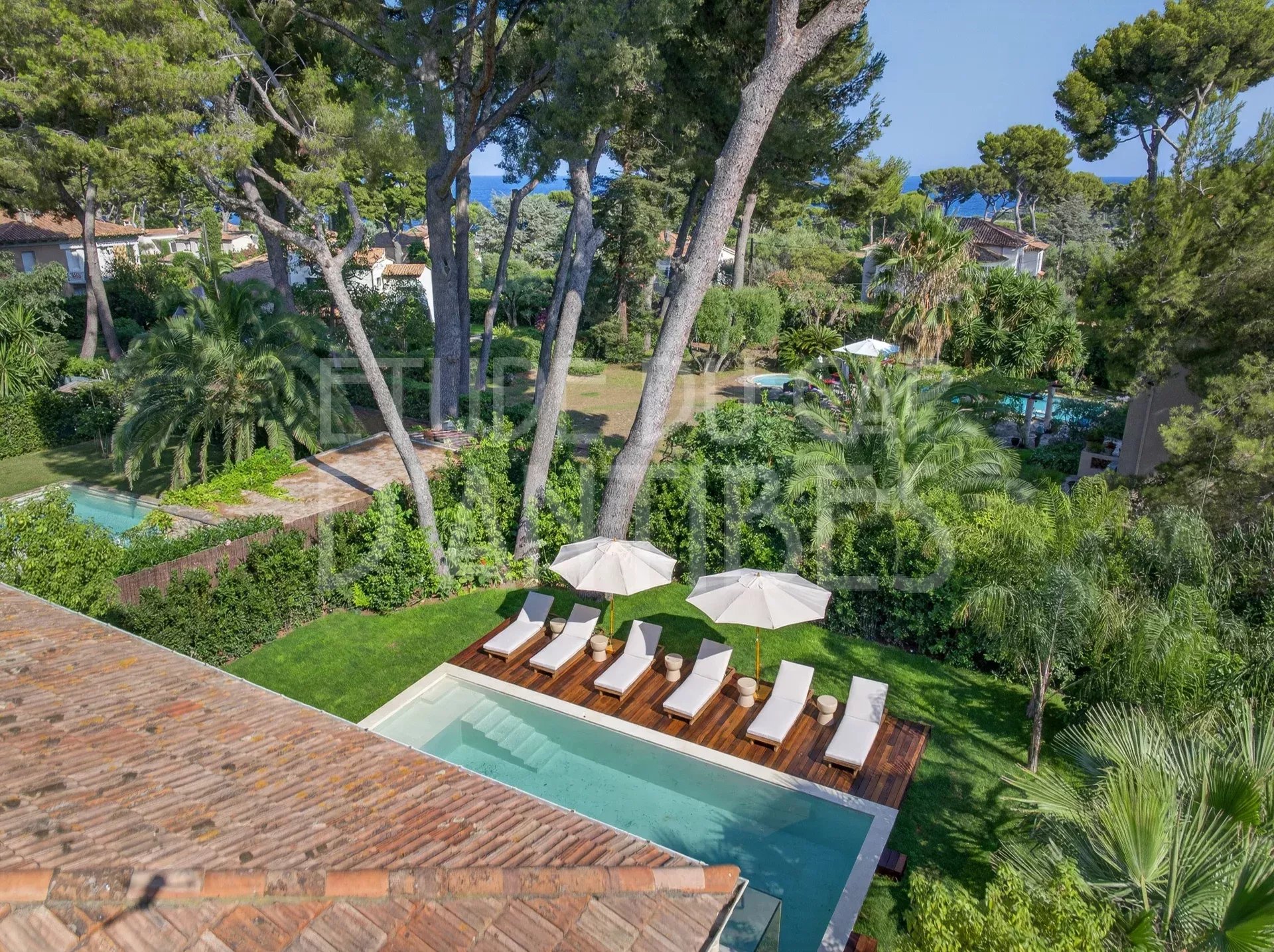 Vue aérienne d'une villa avec piscine et jardin à Antibes, entourée d'arbres.
