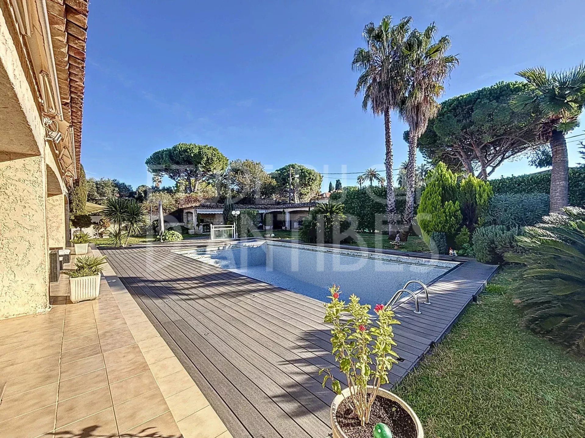 Villa à Cap d’Antibes avec piscine Vue de la piscine et du jardin d'une villa à Cap d'Antibes, avec des palmiers et un pool house.