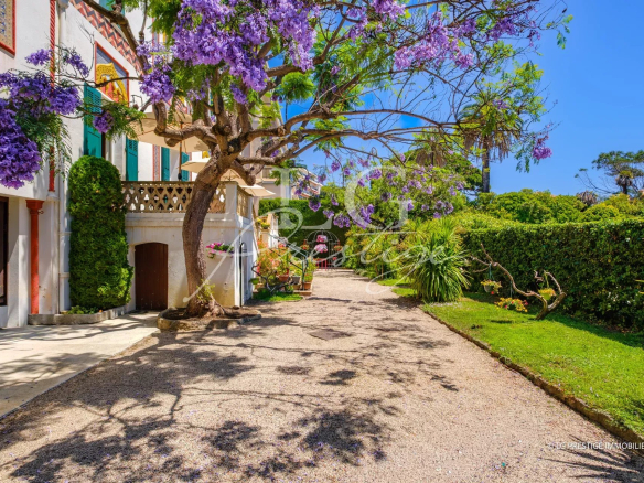 Driveway of an exceptional property with trees and flowers in Cannes.