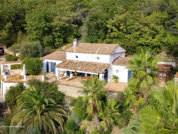 House with swimming pool and Mediterranean garden in Montauroux, aerial view.