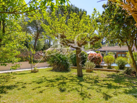 Jardin plat avec arbres et plantes dans une maison de plain-pied à Mougins.