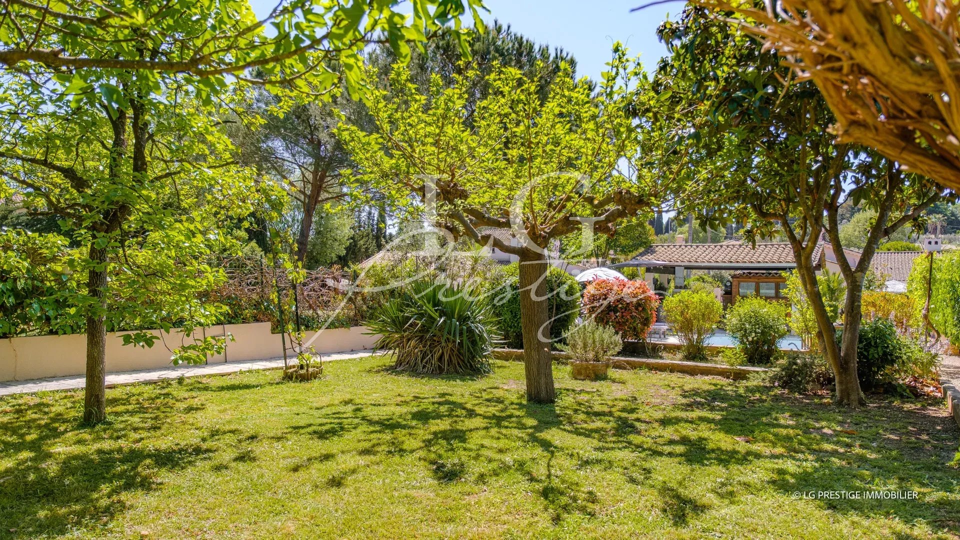 Jardin plat avec arbres et plantes dans une maison de plain-pied à Mougins.