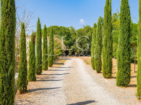 Allée bordée de cyprès menant à une villa dans un environnement naturel à Fayence.