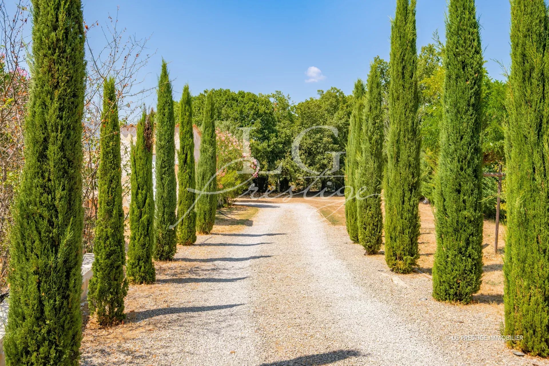 Allée bordée de cyprès menant à une villa dans un environnement naturel à Fayence.