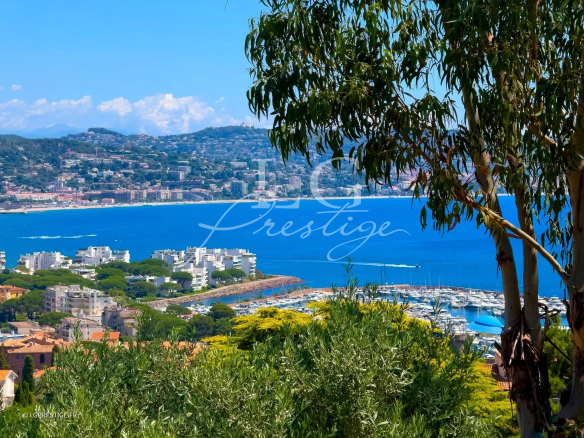 Luxury real estate photo | Charming Properties