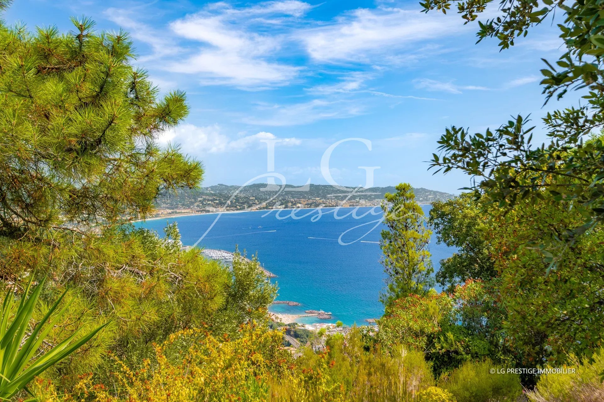 Panoramic sea view from an estate in Théoule-sur-Mer, with trees in the foreground.