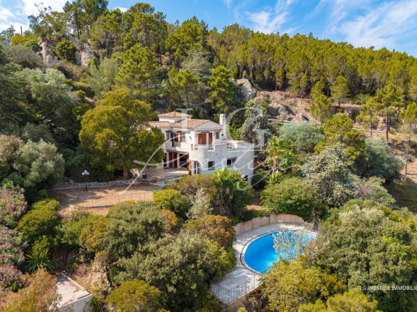 Villa with swimming pool on wooded grounds in Théoule-sur-Mer, 180-degree sea view.