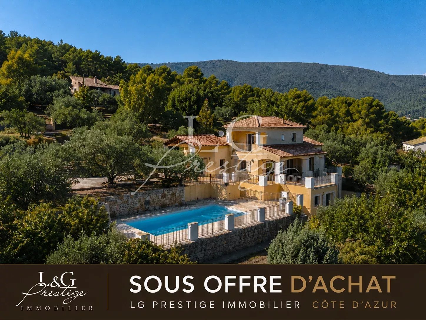 Villa provençale avec piscine entourée d'oliviers et de verdure à Seillans.