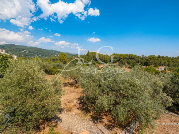 Vue d'une villa provençale entourée d'oliviers et de roses sauvages à Seillans.