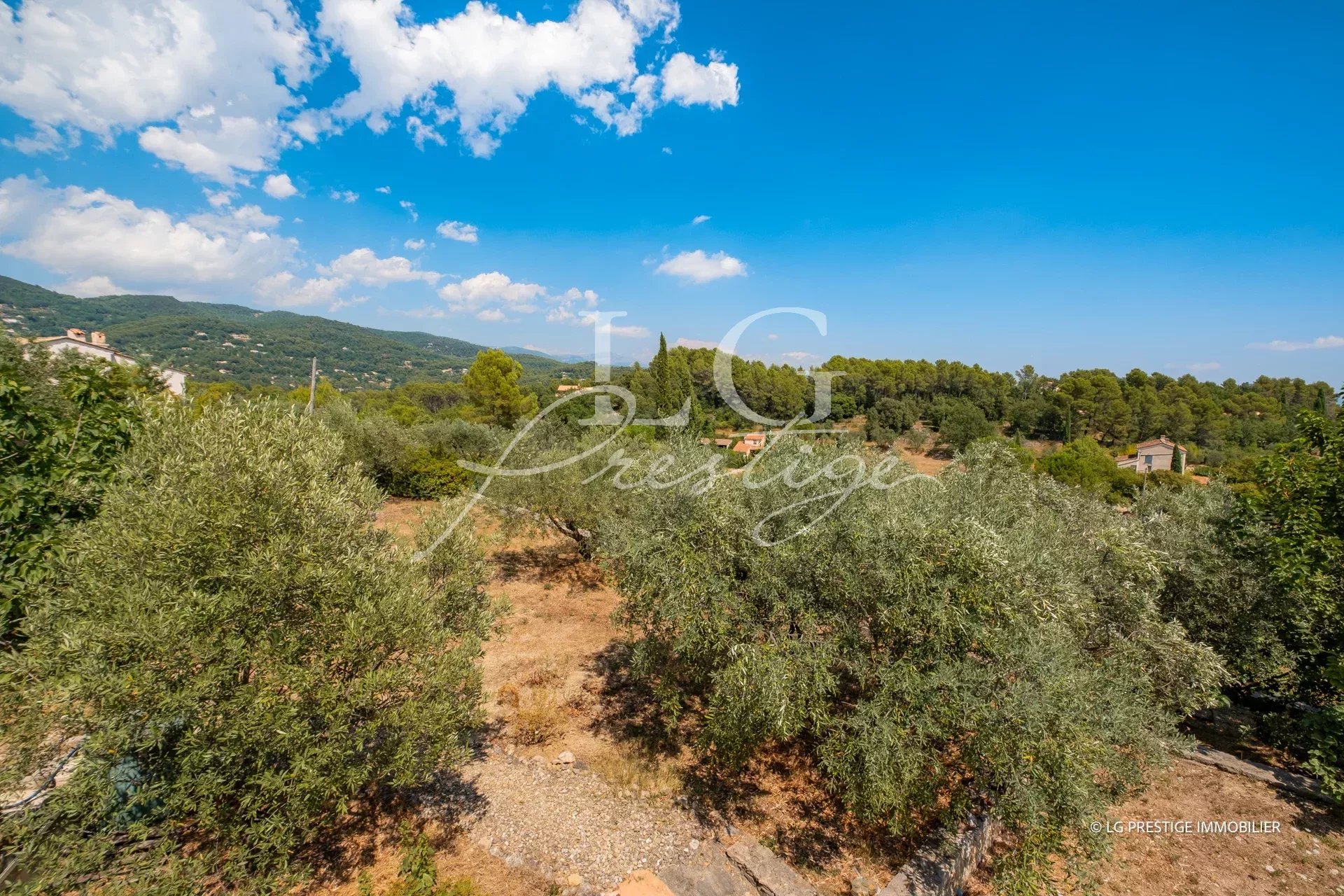 Vue d'une villa provençale entourée d'oliviers et de roses sauvages à Seillans.