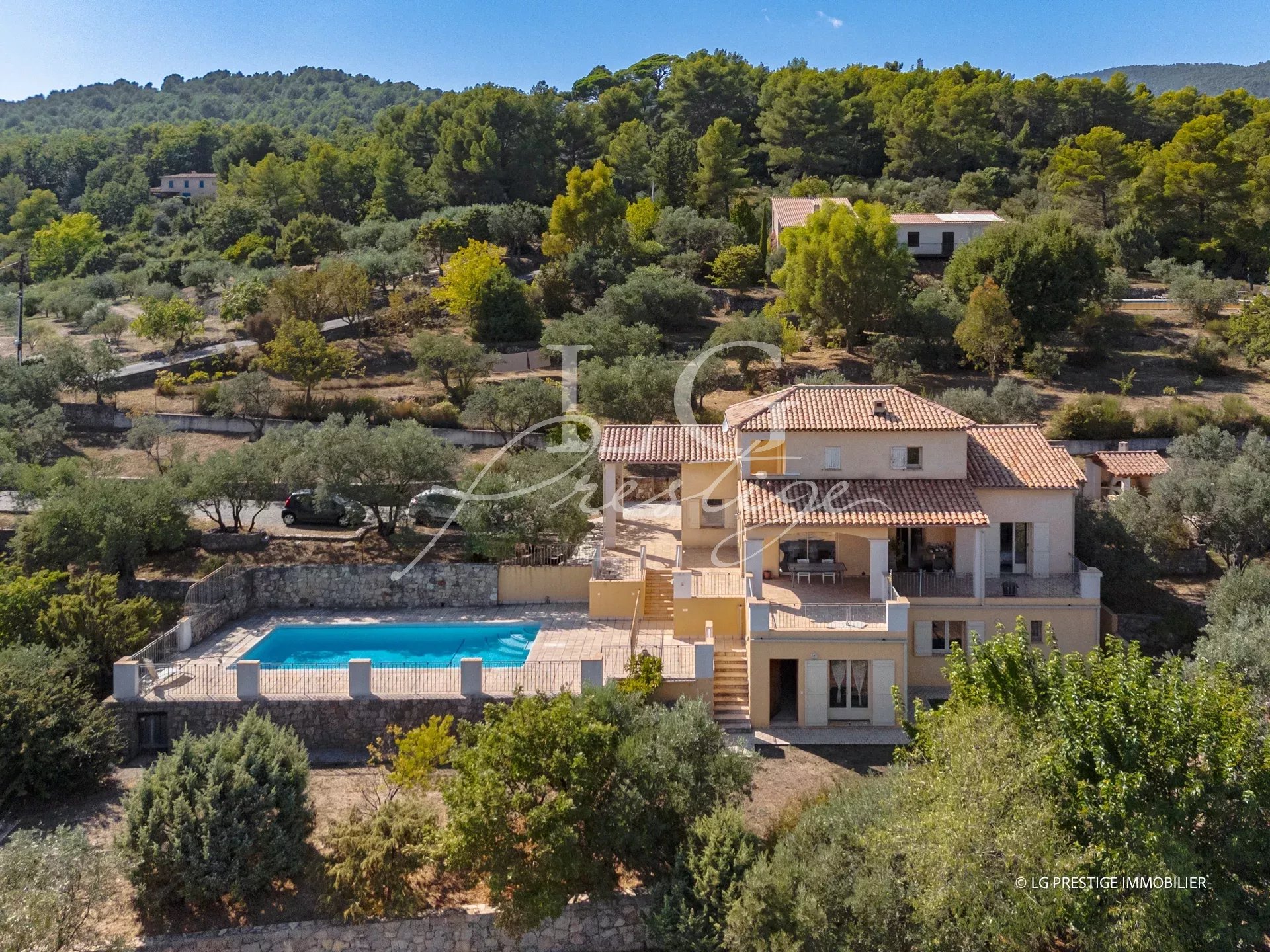 Villa provençale avec piscine entourée d'oliviers et de verdure à Seillans.