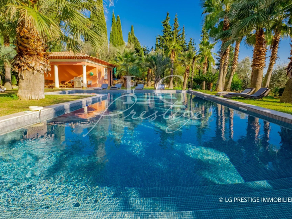 Piscine chauffée entourée de palmiers et d'une végétation luxuriante à Grasse.