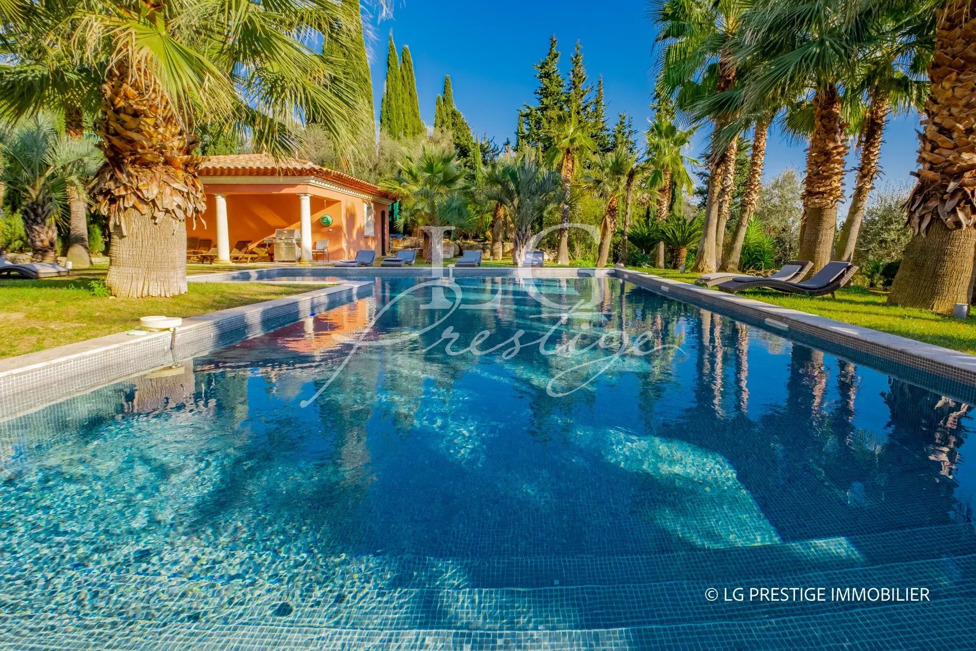 Piscine chauffée entourée de palmiers et d'une végétation luxuriante à Grasse.
