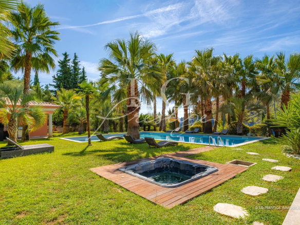 Jardin avec piscine et jacuzzi entouré de palmiers à Grasse.