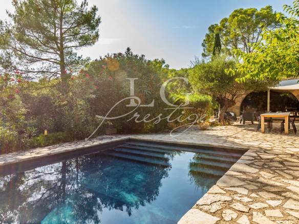 Swimming pool surrounded by greenery in a Provençal villa in Seillans.