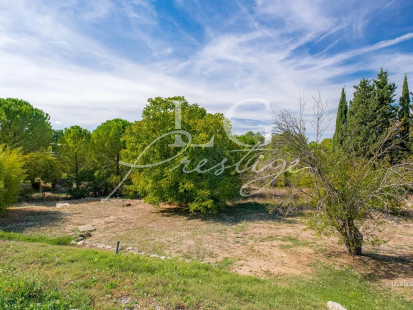Unobstructed view over a wooded area with trees and a blue sky in Montauroux.