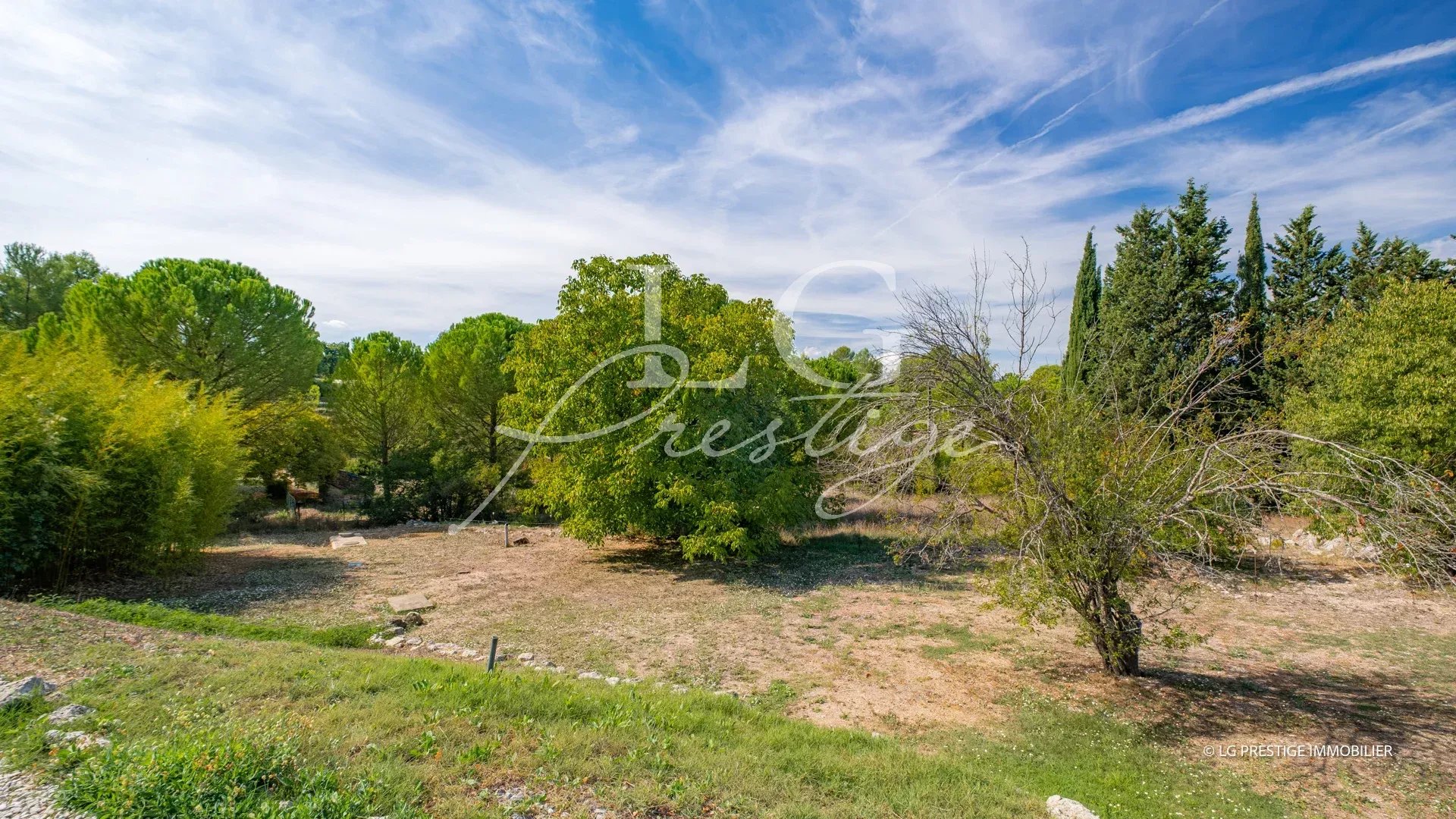 Wooded land in Montauroux Unobstructed view over a wooded area with trees and a blue sky in Montauroux.