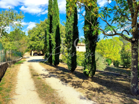 Allée bordée de cyprès menant à une bastide provençale à Fayence.