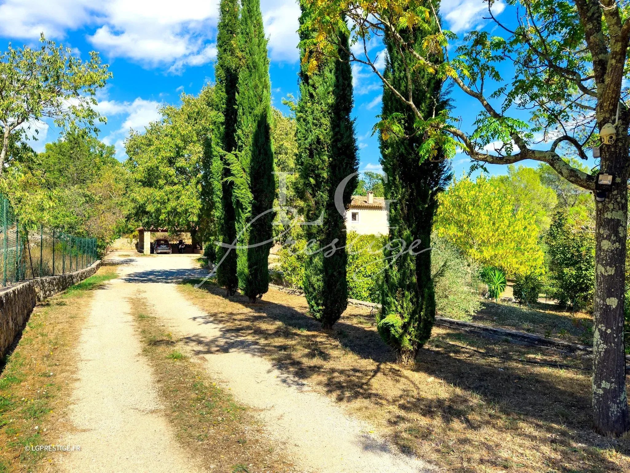 Allée bordée de cyprès menant à une bastide provençale à Fayence.