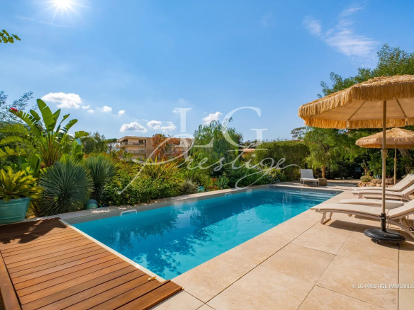 Swimming pool surrounded by greenery in a villa in Mandelieu-la-Napoule