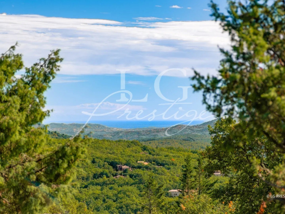 Vue panoramique sur un paysage naturel verdoyant depuis une villa à Fayence.
