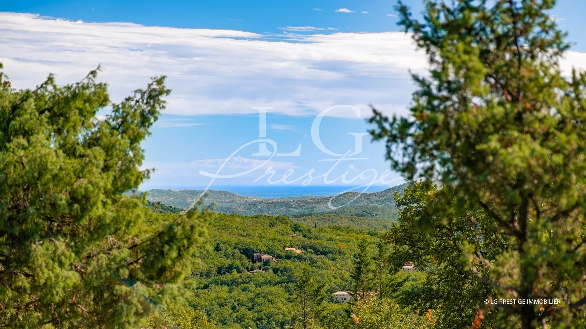 Vue panoramique depuis une villa à Fayence Vue panoramique sur un paysage naturel verdoyant depuis une villa à Fayence.