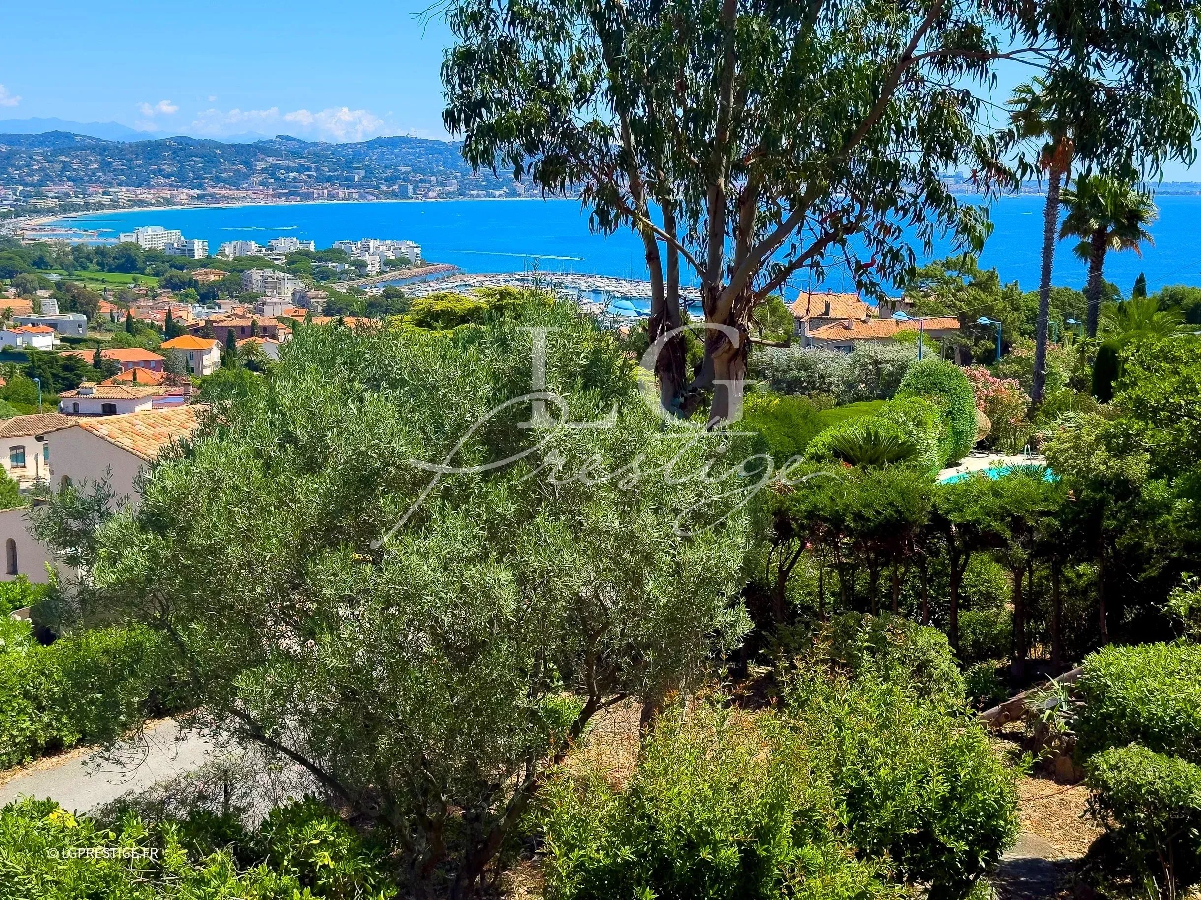 Vue panoramique sur la mer depuis un terrain arboré à Mandelieu-la-Napoule.
