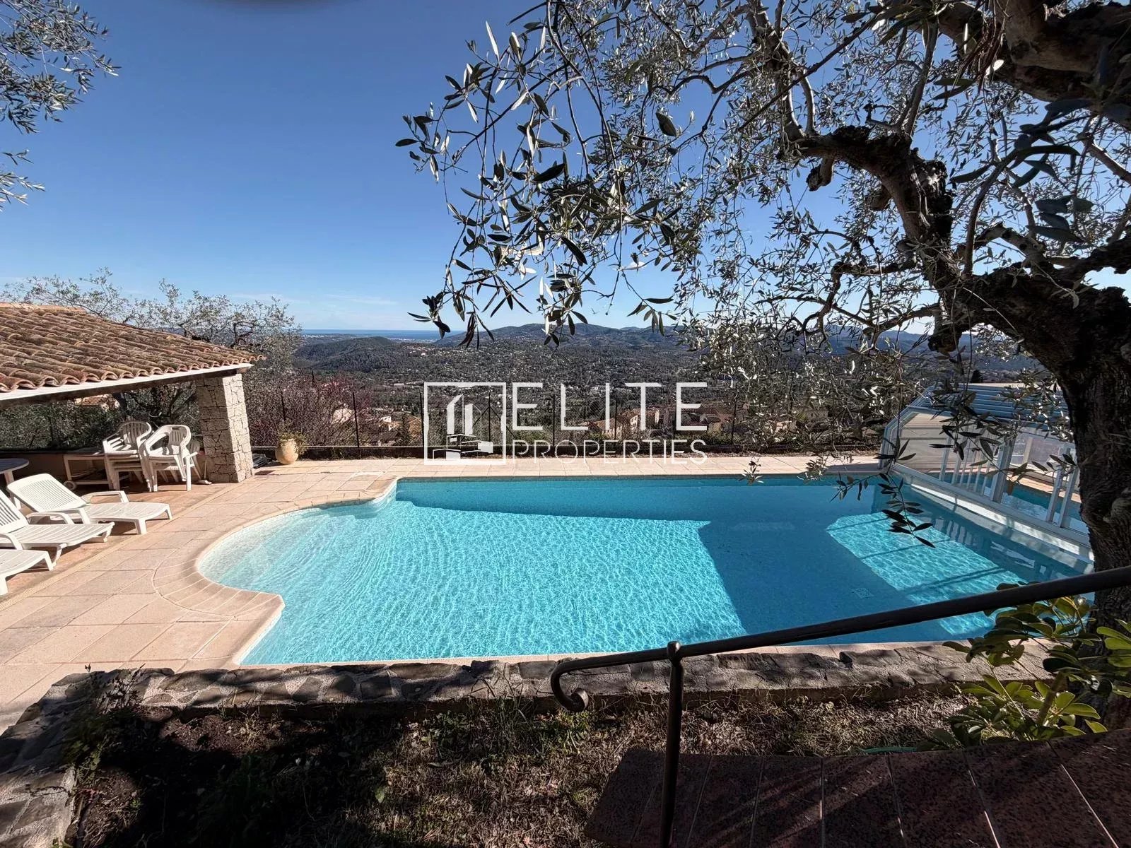 Piscine d'une villa avec vue panoramique à Spéracèdes, entourée d'oliviers.