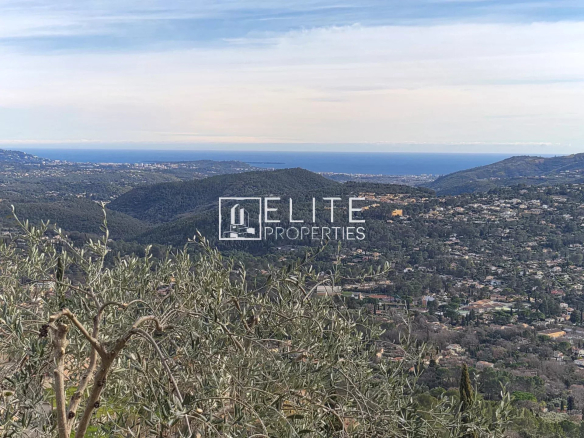 Vue panoramique sur les collines et la mer depuis Spéracèdes, avec des oliviers au premier plan.