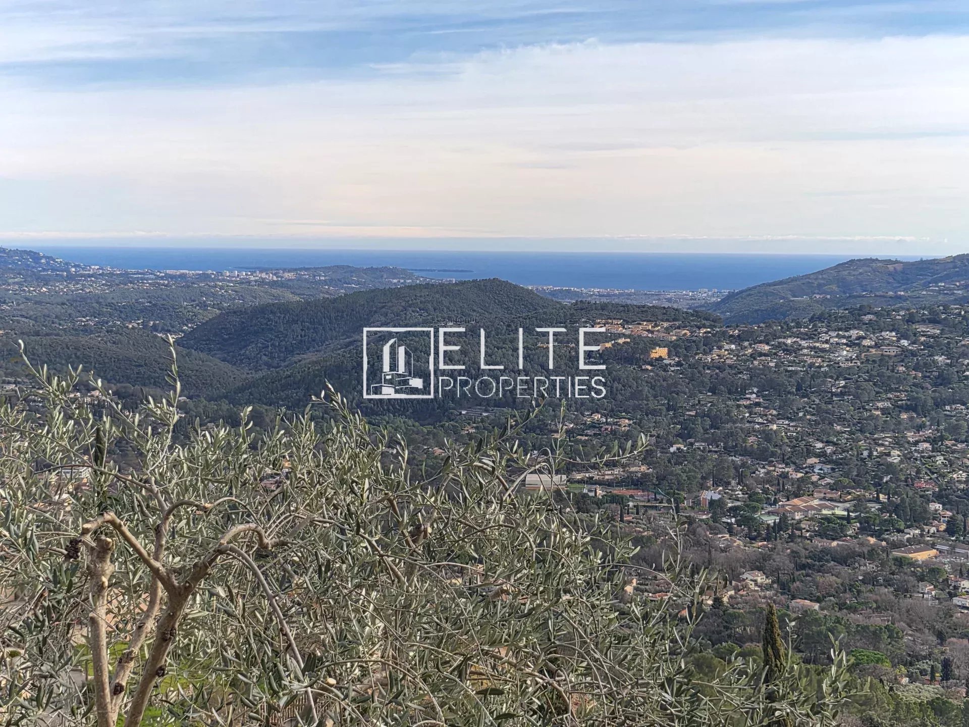 Vue panoramique sur les collines et la mer depuis Spéracèdes, avec des oliviers au premier plan.