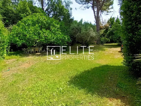 Jardin arboré d'une maison de plain-pied à Mougins, avec pelouse et arbres.