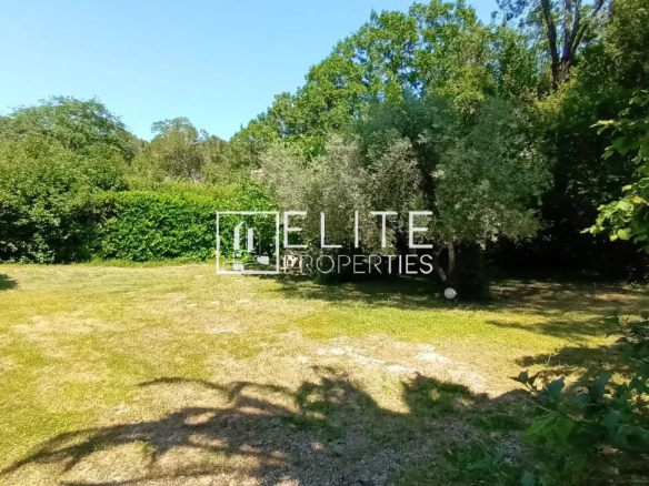 Terrain plat et arboré autour d'une maison de plain-pied à Mougins.
