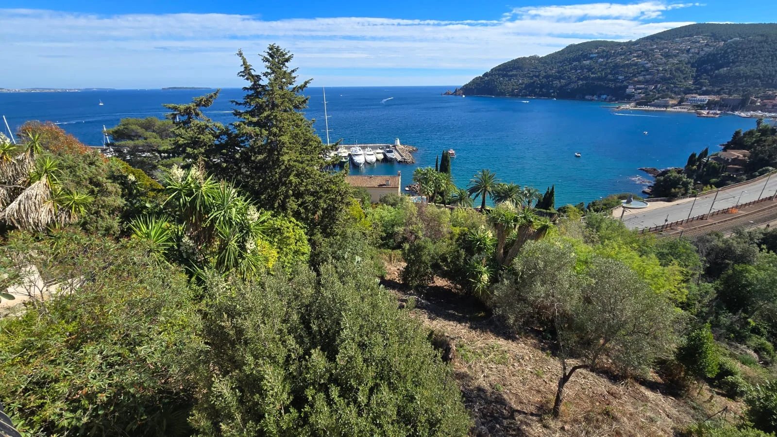 Vue sur la mer à Théoule-sur-Mer Vue panoramique sur la mer depuis un terrain en pente à Théoule-sur-Mer, avec des arbres et le port visible.
