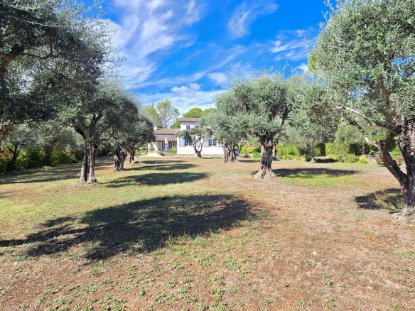 Maison de 135 m² sur terrain de 3 300 m² avec oliviers et piscine à Mouans-Sartoux.