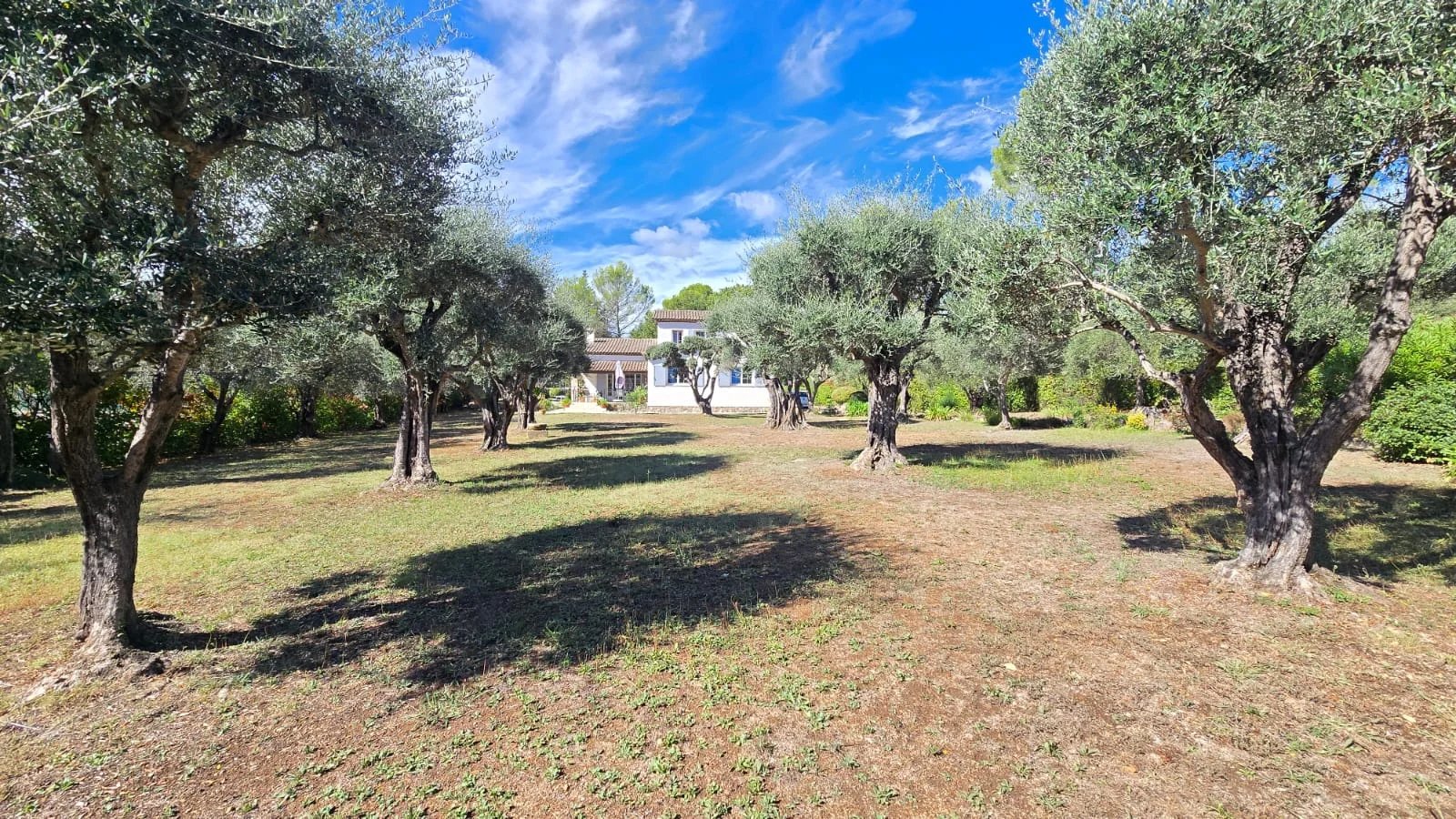 Maison avec piscine à Mouans-Sartoux Maison de 135 m² sur terrain de 3 300 m² avec oliviers et piscine à Mouans-Sartoux.