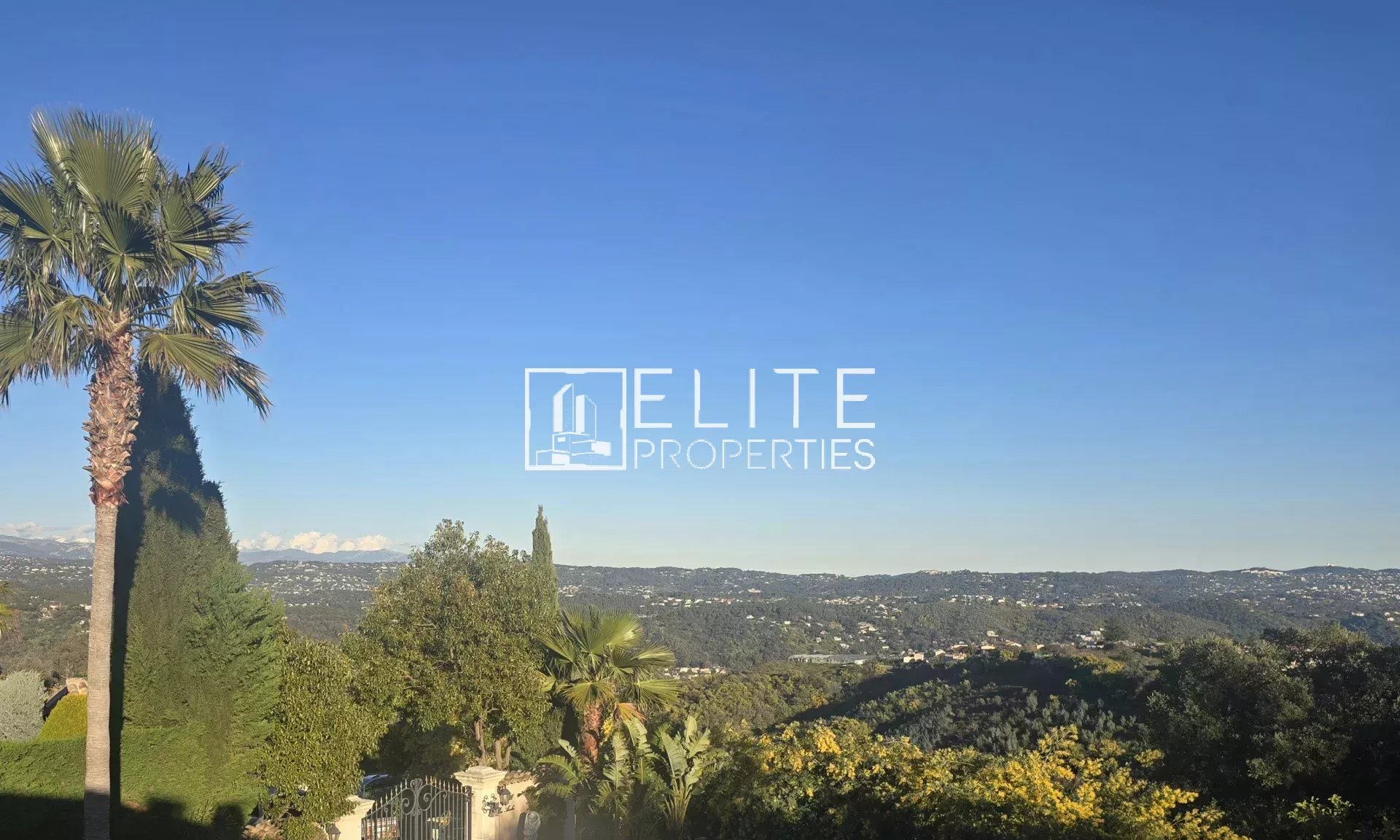 Vue depuis la villa à Tanneron Vue dégagée sur la nature depuis une villa à Tanneron, avec des palmiers au premier plan.