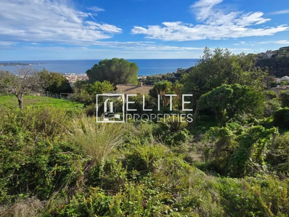 Vue panoramique sur la mer depuis un terrain avec végétation à Vallauris.